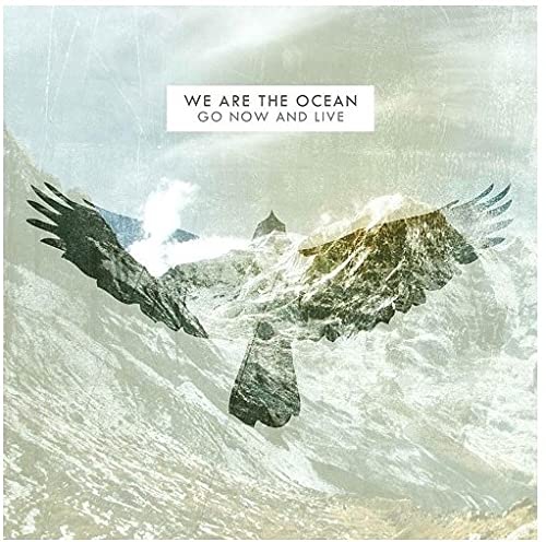 We Are The Ocean - Go Now & Live vinyl cover