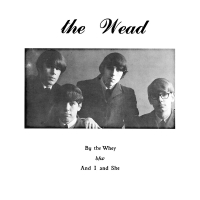 Wead - By The Whey vinyl cover
