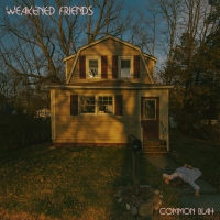 Weakened Friends - Common Blah vinyl cover