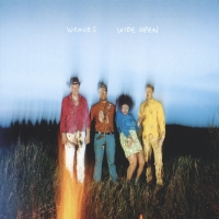 Weaves - Wide Open vinyl cover