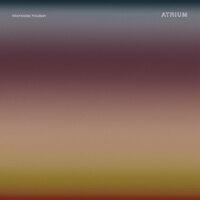 Wednesday Knudsen - Atrium vinyl cover
