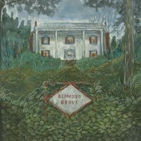 Weirs - Diamond Grove vinyl cover