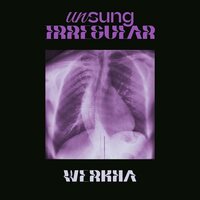 Werkha - Unsung Irregular vinyl cover