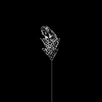 Wetware - Flail vinyl cover