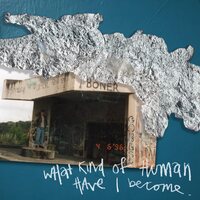 What Kind of Human Have I Become - Avoiding The Diggy Diggy Dogs vinyl cover