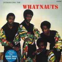 Whatnauts - Introducing The Whatnauts vinyl cover