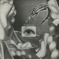 Wheelchair Sports Camp - Oh Imperfecta! vinyl cover