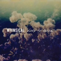 Whimsical - Sleep To Dream vinyl cover