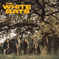 White Bats - The White Bats vinyl cover