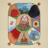 White Denim - Performance vinyl cover