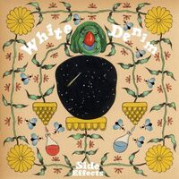 White Denim - Side Effects vinyl cover