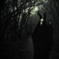 White Ward - Futility Report vinyl cover