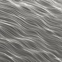 Whitelands - Sunlight Echoes vinyl cover