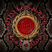Whitesnake - Flesh & Blood Double vinyl cover