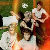 Why Don't We - The Good Times And The Bad One vinyl cover