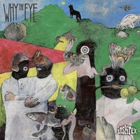 Why the Eye - Inspirex vinyl cover