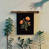 Why? - The Well I Fell Into vinyl cover