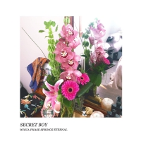 Wicca Phase Springs Eternal - Secret Boy vinyl cover