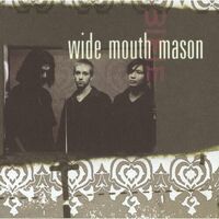 Wide Mouth Mason - S/T vinyl cover