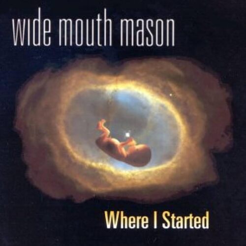 Wide Mouth Mason - Where I Started vinyl cover