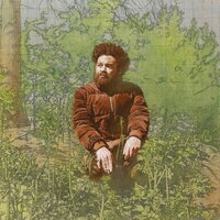 Wiki - Ancient History (Fern Green) vinyl cover