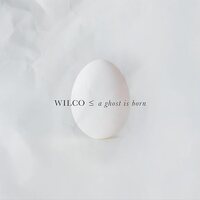 Wilco - A Ghost Is Born vinyl cover