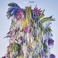 Wilco - Cousin vinyl cover