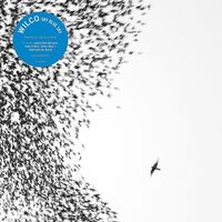 Wilco - Sky Blue Sky vinyl cover