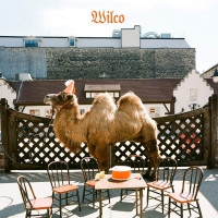 Wilco - Wilco The Album  Picture vinyl cover