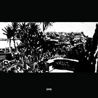 Wild Books - 2 vinyl cover