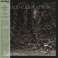 Wild Carnation - Tricycle (Green)
