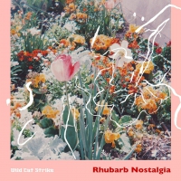 Wild Cat Strike - Rhubarb Nostalgia vinyl cover
