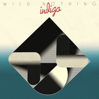Wild Nothing - Indigo vinyl cover