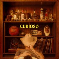 Wilder Woods - Curioso vinyl cover
