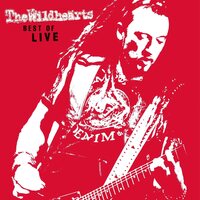 Wildhearts - Best Of Live vinyl cover