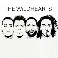 Wildhearts - Wildhearts vinyl cover