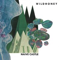 Wildhoney - Naive Castle vinyl cover