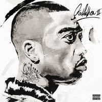 Wiley - Godfather Ii vinyl cover