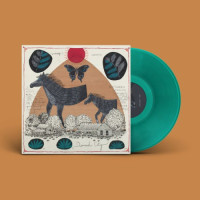 Will Johnson - Diamond City (Green) vinyl cover