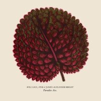Will Saul & Fink & James Alexander Bright - Paradise Ave vinyl cover