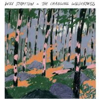 Will Stratton - The Changing Wilderness vinyl cover