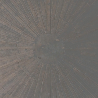 William Basinski & Lawrence English - Selva Oscura vinyl cover