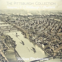 William Fitzsimmons - Pittsburgh Collection vinyl cover