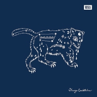 William Matheny - Strange Constellations vinyl cover