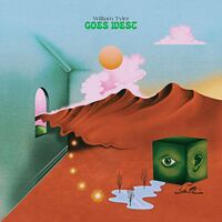 William Tyler - Goes West vinyl cover