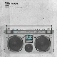 Willie Boo Boo - In The Moment vinyl cover