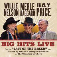 Willie Nelson - Big Hits Live From The Last Of The Breed Tour vinyl cover