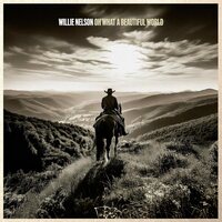 Willie Nelson - Oh What A Beautiful World vinyl cover