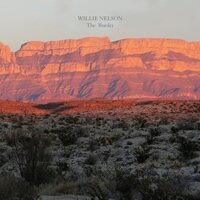 Willie Nelson - The Border vinyl cover