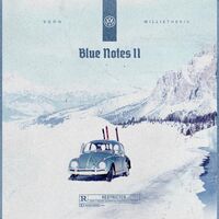 Willie The Kid & V Don - Blue Notes 2 vinyl cover